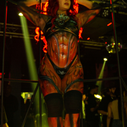 DSC05997