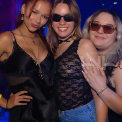 DSC00529