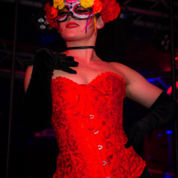 1_DSC06575