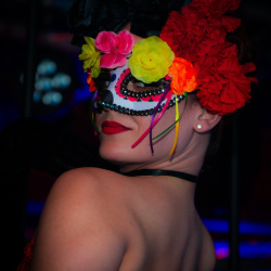 1_DSC06578