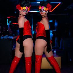 1_DSC06624