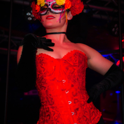 DSC06575