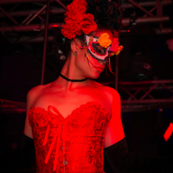DSC06581