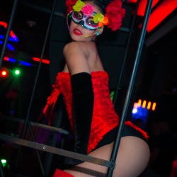 DSC06595