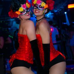 DSC06632