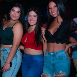 DSC06711