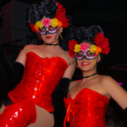 DSC06721